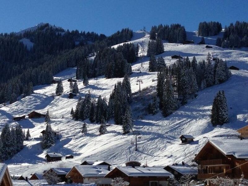 Butterfly - Three Bedroom Adelboden Exterior photo