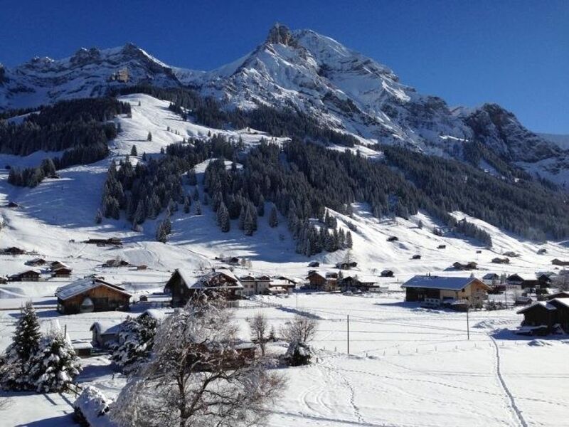 Butterfly - Three Bedroom Adelboden Exterior photo